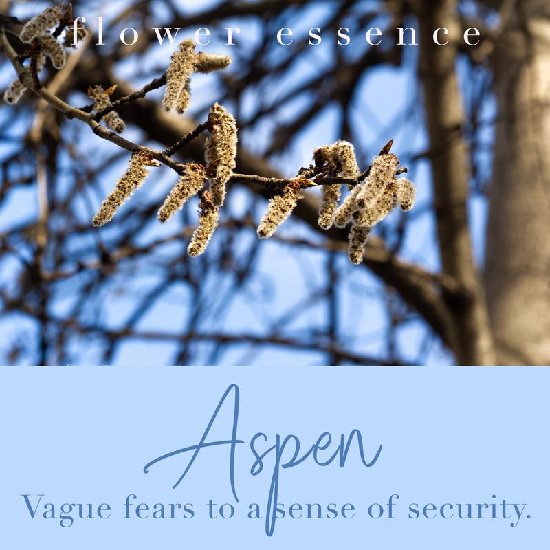 Aspen Flower Essence Wholesale