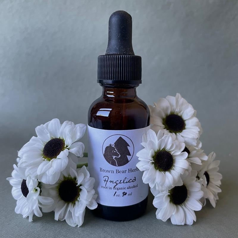 Angelica archangelica Tincture