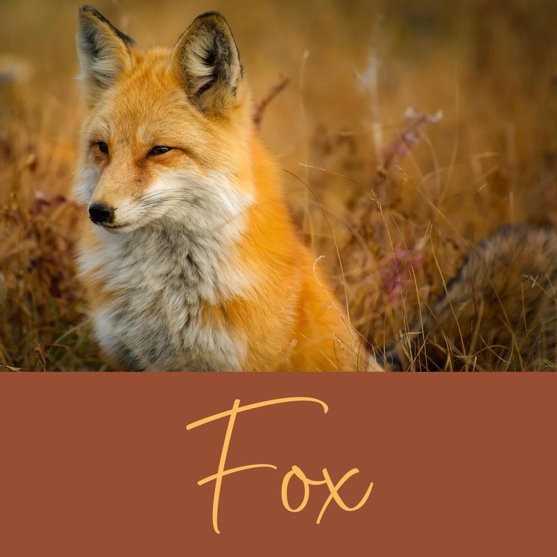 Fox Energy