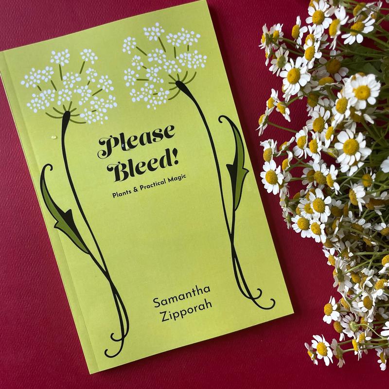 Zipporah, Please Bleed! an Herbal Abortion Reference
